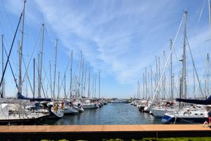 Port de Plaisance de Vlieland - 1