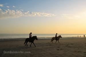 Manege Ter Duinen - 1