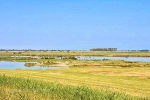 Uitkerkse Polder - 1