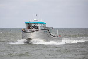 Zeehondentocht met de Anna - 1