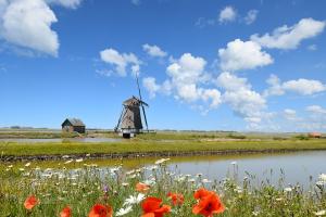 Moulin Het Noorden - 1