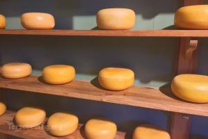 Cheese Farm De Pieter Peit's Hoeve - 1