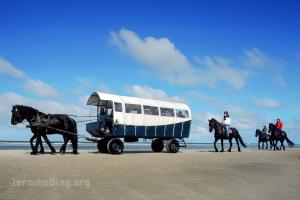 Puur Terschelling - 1