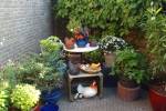 Nieuwstraat 46 (May 2025) - #5