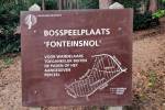 Fonteinsnol (June 2025) - #2