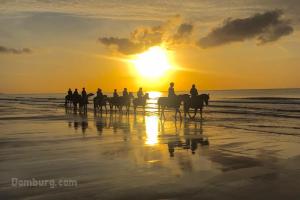 Manege Sanders