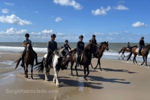 Pony Adventures Haamstede