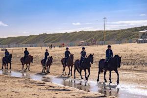 Manege Duno - 1