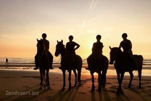 Manege de Baarshoeve - 1