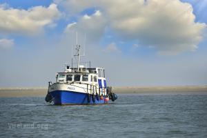 Phoca Wadden Tours