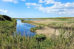 Kroon’s Polders - 1
