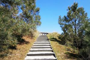 Viewpoint Bomenland - 1