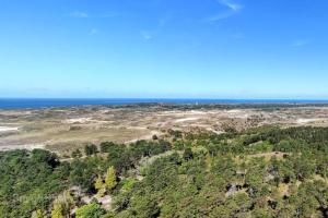 Meeuwenduinen - 1