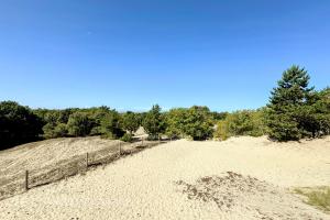 Zeepeduinen - 1