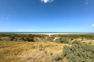 Verklikkerduinen - 1