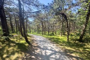 Hollumerbos (June 2026) - #1