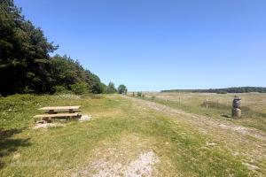 Roosduinen