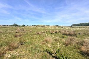 Kooiduinen (June 2026) - #1