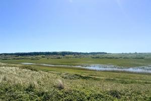 item Hagedoornveld