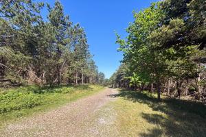 Nesserbos (June 2026) - #1