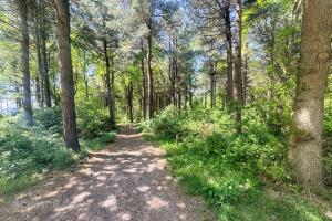 Oostbos