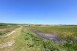 Lange Duinen (June 2026) - #2