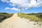Hollumerduinen (June 2026) - #2