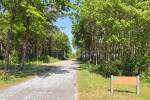 Roosduinen (June 2026) - #2