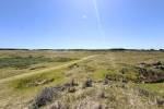 Roosduinen (June 2026) - #3