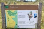 Hagedoornveld (June 2026) - #3