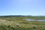 Hagedoornveld (June 2026) - #2