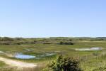 Zwanewater Stuifdijk (June 2026) - #2