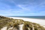 Buurderduinen (June 2026) - #2
