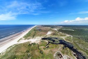 Schoorlse Duinen