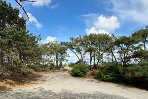 item Schoorlse Duinen