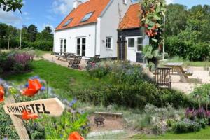 DE DUINDISTEL Bed by the Sea - 1