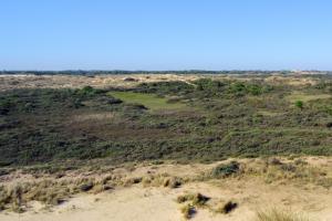 Krakeelduinen