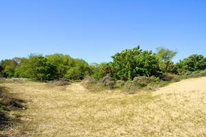 Houtsaegerduinen