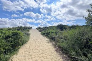 Dune du Perroquet
