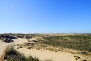 Zeebermduinen (July 2026) - #1