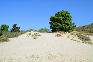 Noordduinen
