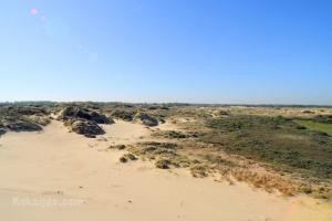 Karthuizerduinen
