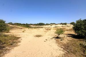 Karthuizerduinen