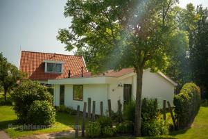 4B - Resort Haamstede