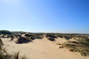 Oostvoorduinen (July 2026) - #1