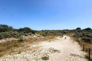 Simliduinen