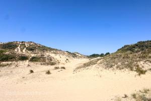Plaatsduinen