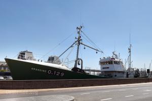 Museumschiff Amandine (November 2025) - #1