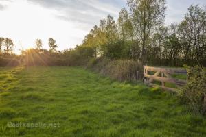Région des haies d’Arnemuiden