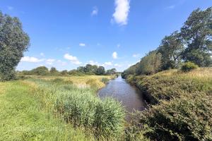 Heggengebied Arnemuiden
